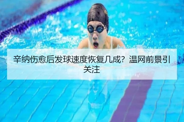 辛纳伤愈后发球速度恢复几成？温网前景引关注